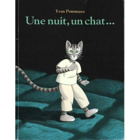 UNE NUIT UN CHAT