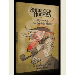 LA BD DONT VOUS ETES LE HEROS - T10 - SHERLOCK HOLMES - MYSTERE A SORROWDALE MANOR