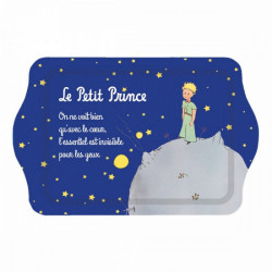 VIDE POCHES LE PETIT PRINCE NUIT METAL 21X14 CM