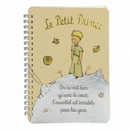 CARNET LE PETIT PRINCE PORTRAIT 13X18 CM