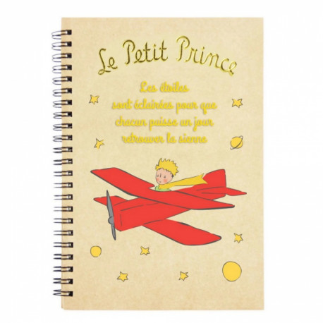 CARNET LE PETIT PRINCE AVION 13 X 18 CM