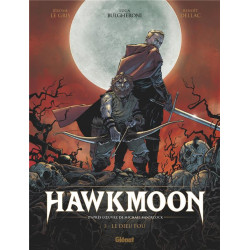 HAWKMOON - TOME 03 - LE DIEU FOU