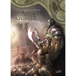 LES TERRES D ARRAN ORCS ET GOBELINS ORCS ET GOBELINS T07 BRAAGAM