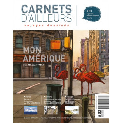 CARNETS D AILLEURS T03  VOYAGES DESSINES