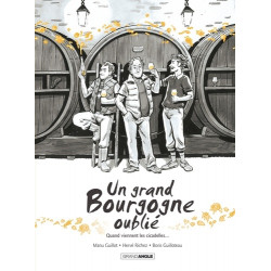 UN GRAND BOURGOGNE OUBLIE  T02 UN GRAND BOURGOGNE OUBLIE  VOL 02  HISTOIRE COMPLETE QUAND VI