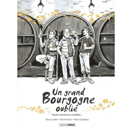 UN GRAND BOURGOGNE OUBLIE  T02 UN GRAND BOURGOGNE OUBLIE  VOL 02  HISTOIRE COMPLETE QUAND VI