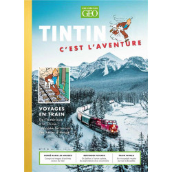 TINTIN C EST L AVENTURE 14 LE TRAIN