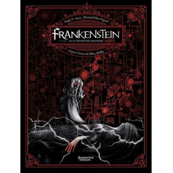 FRANKENSTEIN T01 FRANKENSTEIN OU LE PROMETHEE MODERNE