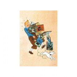 POSTER TINTIN TENANT LES ALBUMS 40X60CM 23003